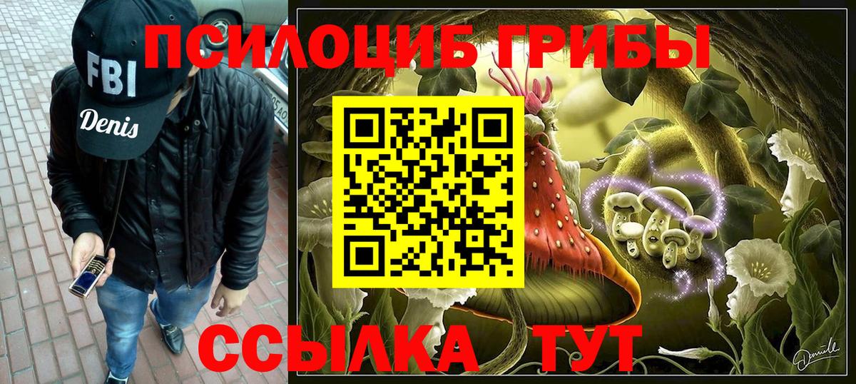 Галлюциногенные грибы мухоморы  Вход с VPN  Дербент  где продают наркотики  Псилоцибиновые грибы Magic Shrooms 