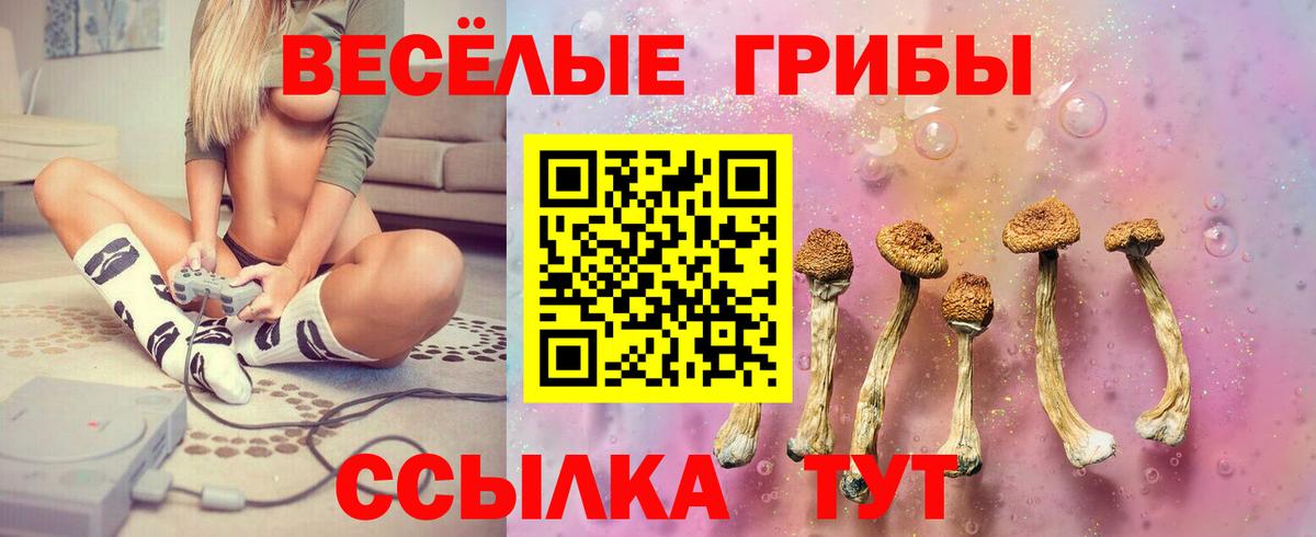 Галлюциногенные грибы GOLDEN TEACHER Дербент